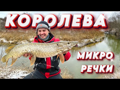 Видео: ОТКУДА в речушке ТАКИЕ ЩУКИ!? Лучший ультралайт - Breaden Kabin может всё! Зимний спиннинг на Родине