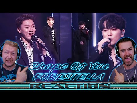 Видео: Реакция FORESTELLA! «Shape Of You»