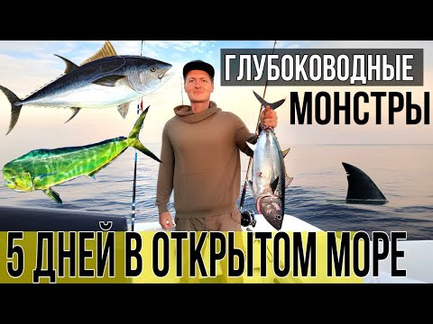 Видео: Пять дней в открытом море в поисках гигантских морских монстров. Рыбалка и подводная охота.