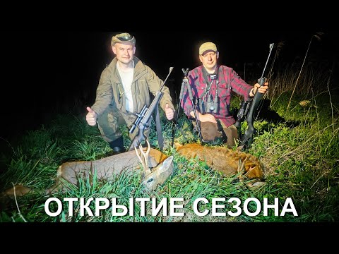 Видео: Охота на косулю с подхода. Открытие сезона 2025