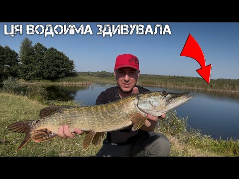 Видео: ❗Знайшов озеро ПОСЕРЕД ПОЛЯ! Рибалка, яку запам’ятаю назавжди