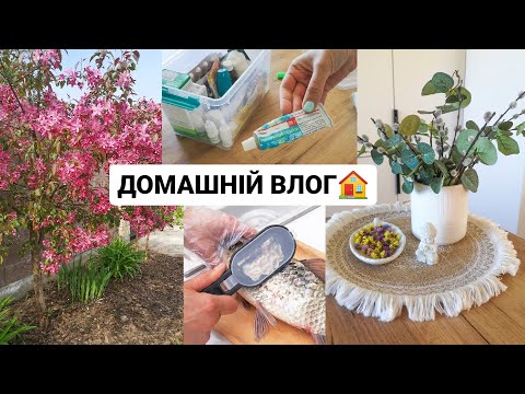 Видео: ДОМАШНІЙ ЗАТИШОК 🏡 ПРИБИРАННЯ НА КУХНІ / ГОТУЮ РИБКУ / ВЛОГ / Наша аптечка