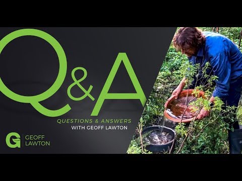 Видео: Орошение (или отсутствие орошения) спирали травы