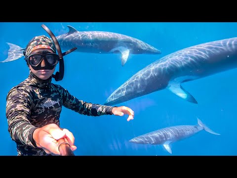 Видео: ДАЙВИНГ С КИТАМИ НА ОСТРОВНОМ ПРИКЛЮЧЕНИИ