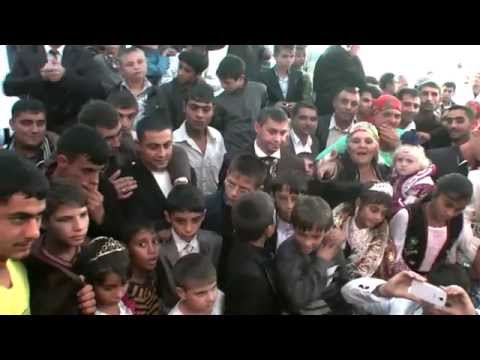 Видео: Цыганская свадьба Даниеля и Романи (с.Подвиноградово)