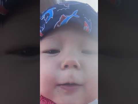 Видео: Алакөл 2024🛟🤽🏻🎡⛲️🚣🥳🏖️🎽🌅🏊‍♂️☀️🏖️🏄⛴️🛶🏄‍♂️🚤