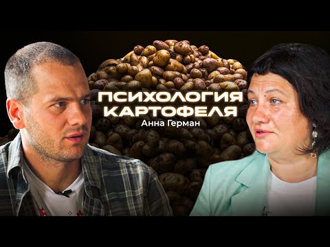 Видео: Почему картофель разумнее нас? Анна Герман — про деньги, мотивацию и команду работающую без давления