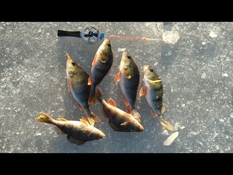 Видео: Мікробалансири працюють краще мормишок! Клює на балансир навіть без підкидань!