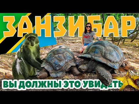 Видео: Занзибар. Самые красивые места на острове