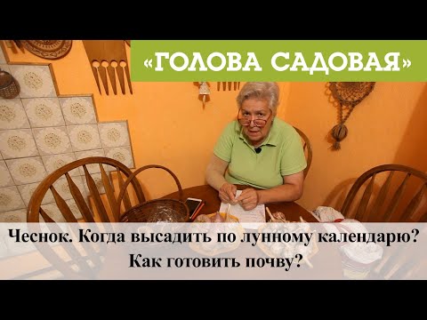 Видео: Голова садовая - Чеснок. Когда высадить по лунному календарю? Как готовить почву?