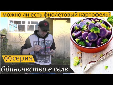 Видео: Обед из фиолетового картофеля и притча о поваленном дереве. Одиночество в селе, серия 99