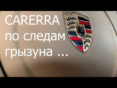 Видео: Carerra по следам грызуна