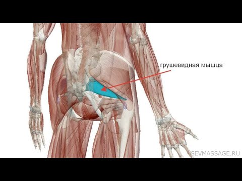 Видео: Тестирование грушевидной мышцы