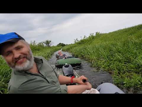 Видео: Ловля красноперки на р.Березине.Fishing in Belarus
