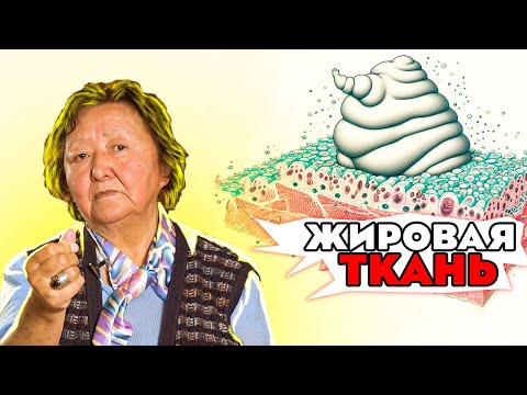 Видео: Что такое жировая ткань?