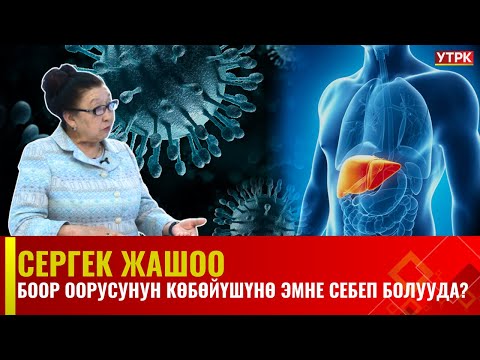 Видео: Боор оорусунун көбөйүшүнө эмне себеп болууда? | Cергек жашоо