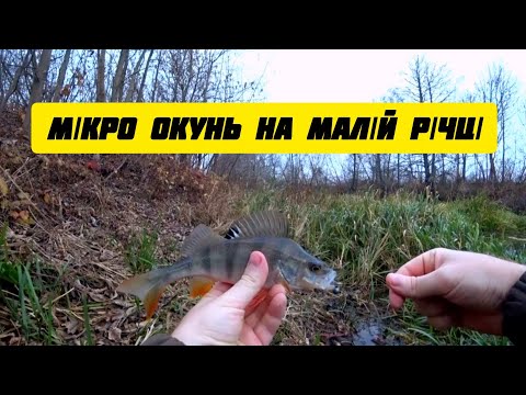 Видео: МІКРО ОКУНЬ НА МАЛІЙ РІЧЦІ. Ультралайт