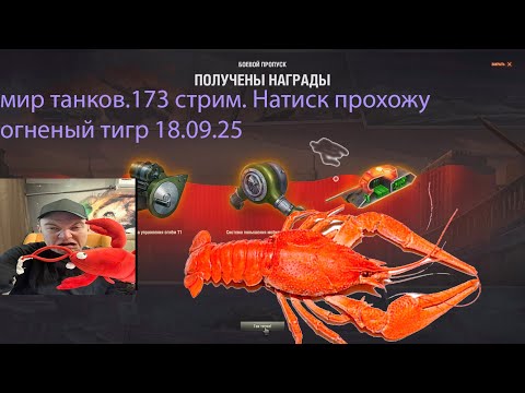 Видео: мир танков.173 стрим. Натиск прохожу огненый тигр 18.09.25