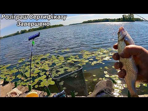 Видео: Плітка почала активно їсти на Дніпрі🌊Фідер з одним гачком🔥