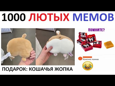 Видео: 1000 мемов. МЕГАПОДБОРКА от Макса Максимова