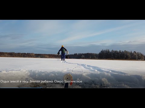 Видео: Отдых зимой в лесу. Зимняя рыбалка. Озеро Тростниковое