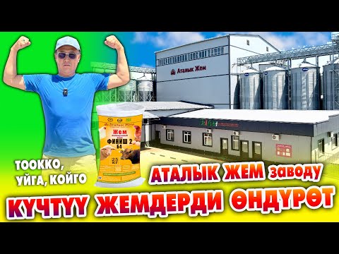 Видео: АТАЛЫК ЖЕМ заводу КҮЧТҮҮ жемдерди өндүрүп чыгарат ~ РЕЦЕПТ менен жасалат ~ Тоокко, Уйга, Койго