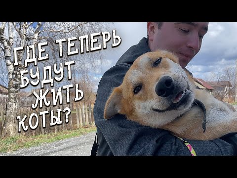 Видео: ЧТО ОТЧЕБУЧИЛ ЕРЕМЕЙ НА СМОТРИНАХ