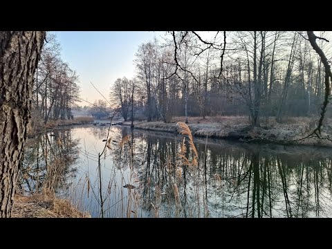 Видео: Знайшов Стоянку плітки під Валунами по центру річки.Світанок на річці Уж