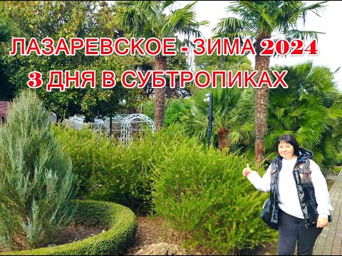 Видео: Лазаревское - февраль 2024. Отель "Матрешка". Набережная. Парк.