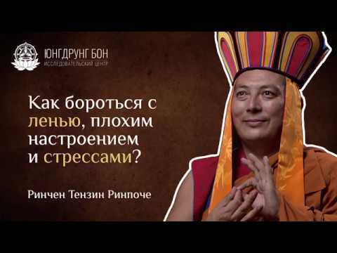 Видео: Как бороться с ленью, плохим настроением и стрессами?