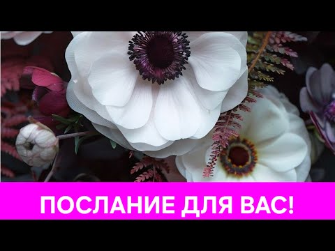 Видео: ПОСЛАНИЕ ДЛЯ ВАС!🥰🥰🥰🥰🥰🥰🥰