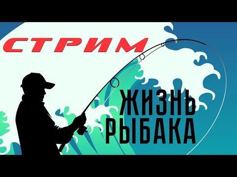 Видео: Стрим с Сашкой