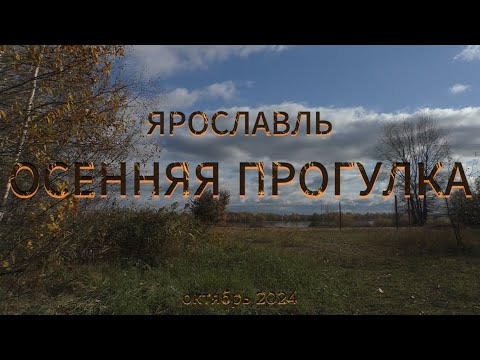 Видео: Ярославль.Осенняя прогулка, октябрь 2024.