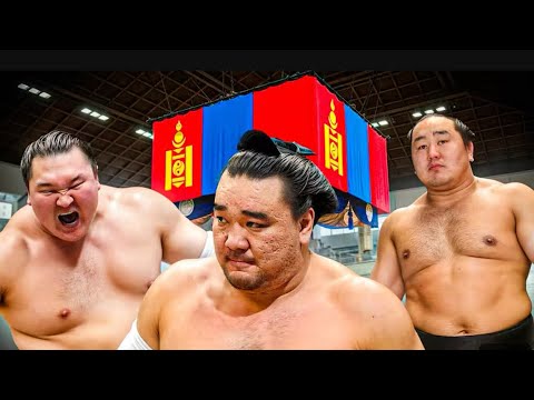 Видео: Разбор 4 дней турнира Кюсю басё 2025