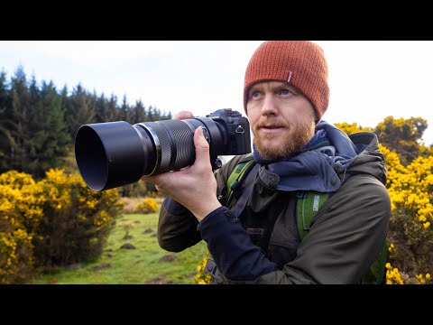 Видео: OM-1 и M.Zuiko 100-400mm f/5-6.3 в поле — утренняя прогулка