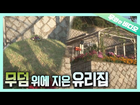 Видео: Кто-то живет на могиле ...?