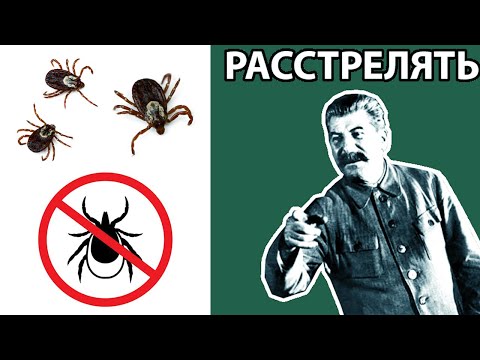 Видео: Почему в СССР не было КЛЕЩЕЙ?