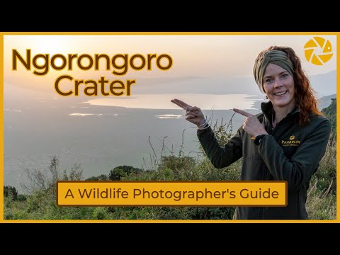 Видео: ОДИН ДЕНЬ в кратере Нгоронгоро — достаточно ли этого времени?