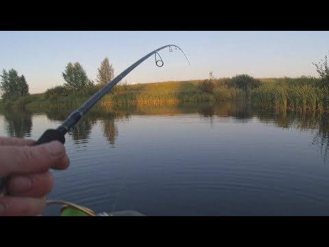 Видео: КАК ЭТО ПРОИЗОШЛО?Рыбалка на спиннинг MAXIMUS Ultimatum JIG