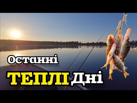 Видео: Сезон Окуня. Де Кабани!!!