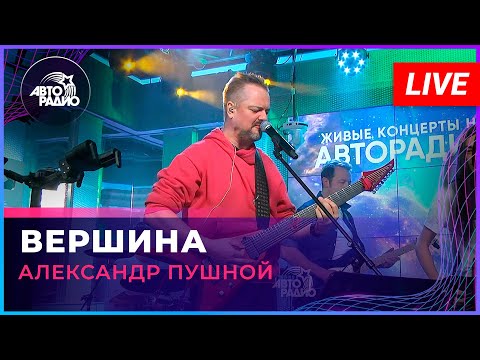 Видео: Александр Пушной - Вершина (Владимир Высоцкий cover) LIVE @ Авторадио