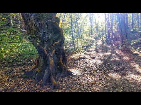 Видео: Водопады п. Ильского