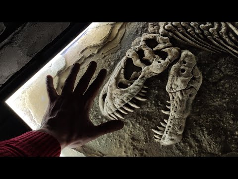 Видео: Стол с эпоксидной смолой и скелетом динозавра в технике барельеф.