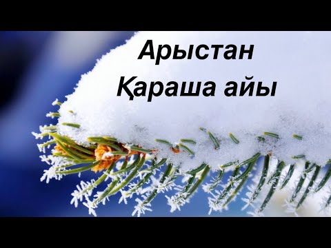 Видео: Арыстан 2024 жылдың Қараша айына арналған Таро жорамалы