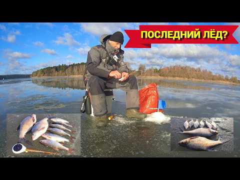 Видео: ОПУСТИЛ ПОПЛАВОК И ТУТ ПОКЛЁВКА! Рыбалка на ОЗЕРНЕ в начале марта. ВОДА на ЛЬДУ.