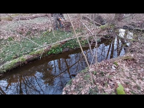 Видео: Екстремальний коп 2024. Знайшли німецьке село, оточене болотами. Люди боялися заходити так далеко...