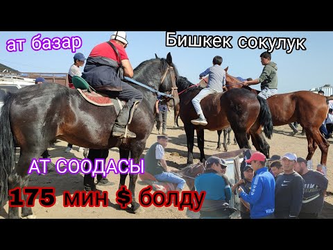 Видео: 14-СЕНТЯБРЬ УЛАК СЕЗОНГО АТТАР СООДАСЫ КЫЗЫДЫ БИШКЕК СОКУЛУК ЖЫЛКЫ БАЗАР 