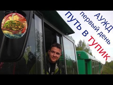 Видео: АУЖД, путь в тупик по Алапаевской узкоколейке, кабина тепловоза и станция Калач