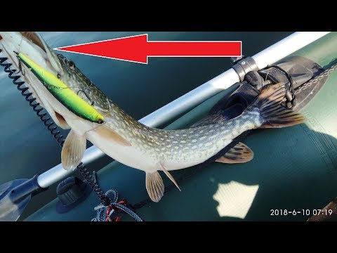 Видео: Favorite X1 602Н работает так, как надо! Открытие сезона с лодки 2018!