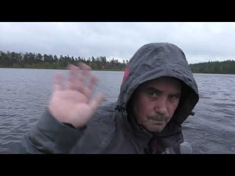 Видео: Золотая осень! Часть 3. Рыбалка на самоловки и колобашки.